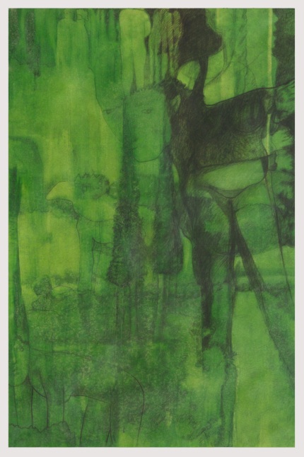 " tra i colli di camaiore " -2006, cm 50x75, oil on paper